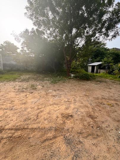 Maruti villa Main Image 1