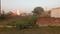 Pandit Khera Main Image 1