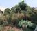 Badaga's Colony Main Image 1