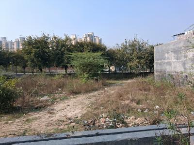 Sector 151 Plot View 2