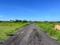 Thamaraipakkam Plot View 2