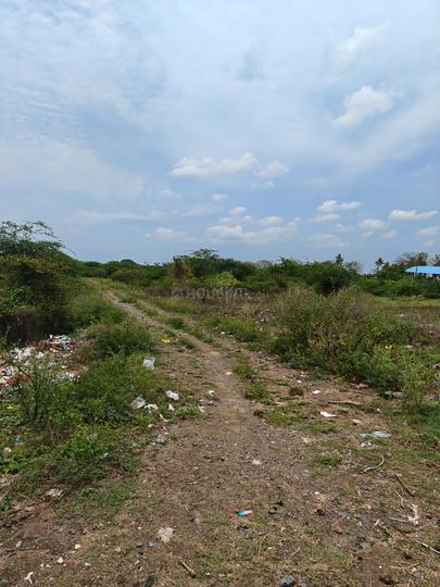 Nellikuppam Main Image 1