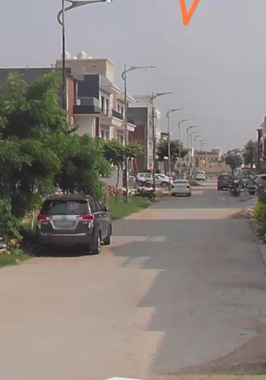 Bajwa Sunny Urban Greens Main Image 1