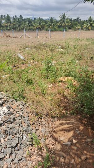 Ganeshapuram Main Image 1