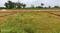 Pahala Main Image 1