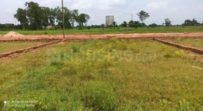 Pahala Plot View 1