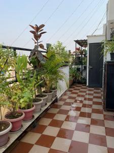 Image of 1200 Sq.ft 2 BHK Builder Floor for rent in Saket, New Delhi for Rs. 45000