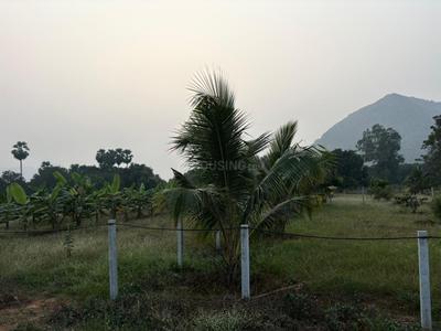 Image of 4356 Sq.ft Residential Plot / Land for sale in Nunna, Vijayawada for Rs. 1750000