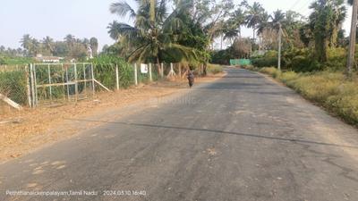 Annur Plot View 2