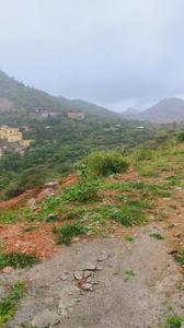 Eklingji Plot View 1
