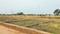 Amleshwar Plot View 2