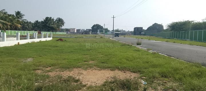 Karamadai Main Image 1