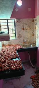 Kitchen Image of 150 Sq.ft 1 BHK Independent House for rent in Phulwari Sharif Patna for Rs. 5500