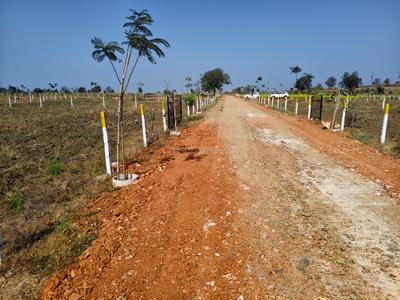 Agricultural Land
