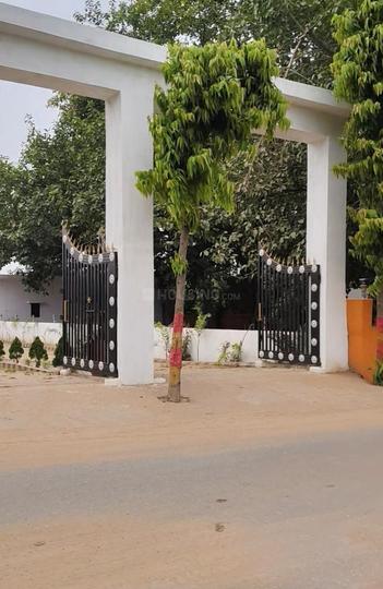 Bihta Main Image 1
