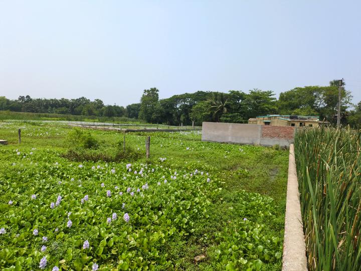 R.K.Pally Main Image 1