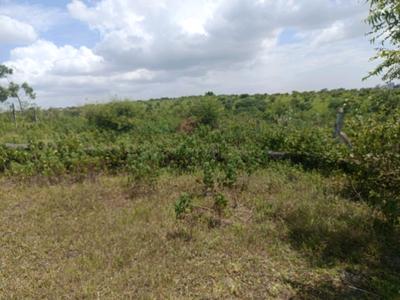 Image of 500 Sq.ft Residential Plot / Land for sale in Lohegaon, Pune for Rs. 1607000
