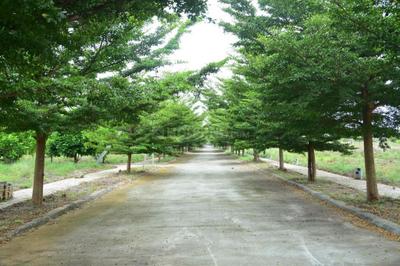 Image of 1500 Sq.ft Residential Plot / Land for sale in NBR Trifecta, Bagalur, Hosur for Rs. 5200000