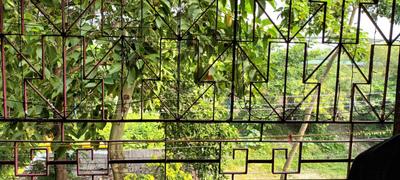Balcony Image of 1700 Sq.ft 4 BHK Builder Floor for sale in Lake Gardens Kolkata for Rs. 13000000