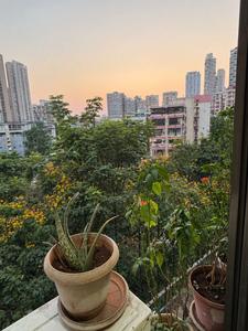 Balcony Image of 590 Sq.ft 1 BHK Apartment / Flat for sale in Swaraj Homes Shree Hari Enclave CHS, Mulund West Mumbai for Rs. 12000000