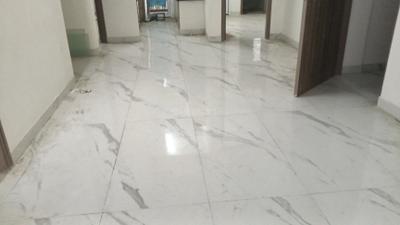 Living Room Image of 1160 Sq.ft 2.5 BHK Builder Floor for sale in M3M Soulitude , Sector 89 Gurgaon for Rs. 12100000