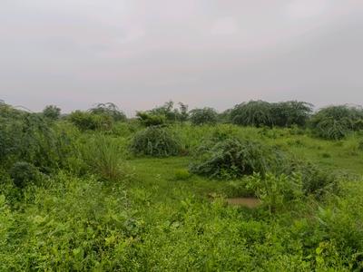 Rohini sector 34 Plot View 2