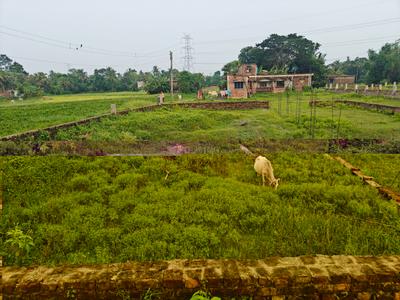 Sonarpur Plot View 2