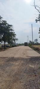 Birkona Plot View 2