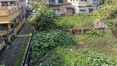 Chakraborty Para Plot View 3