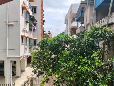 3 BHK Flat