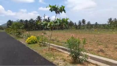 Image of 200 Sq.ft Residential Plot / Land for sale in Bhogapuram, Visakhapatnam for Rs. 3400000