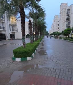 Image of 1439 Sq.ft 3 BHK Builder Floor for sale in Signature Global Park 2 And 3, Sector 36, Sohna for Rs. 16200000