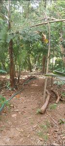 Image of 700 Sq.ft 2 BHK Independent House for sale in Aranattukara, Thrissur for Rs. 600000