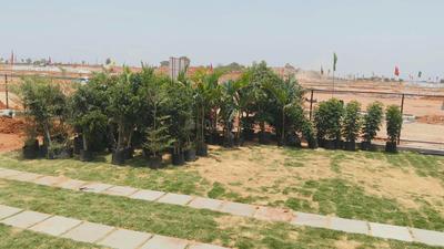 PR properties Plot View 1
