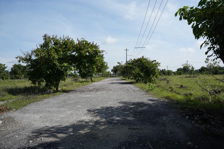 Sarjapur Main Image 1