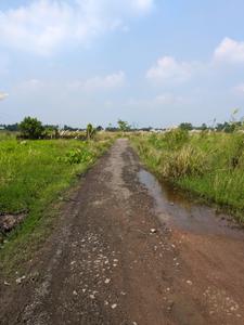 Wander Valley Internal Roads 1