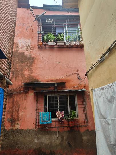 Pereira Wadi, Asalpha Main Image 1