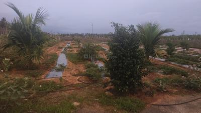 Theethipalayam More Images 2