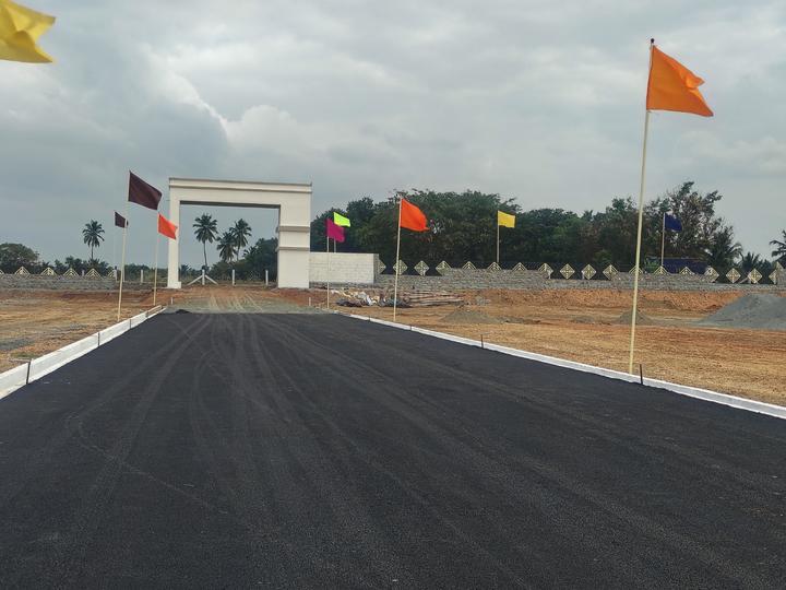Annur Main Image 1