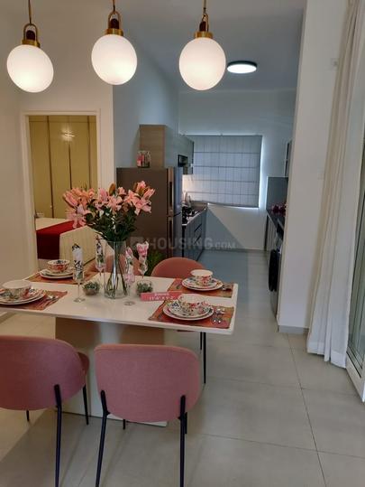 Euphoria In The East Main Image 1