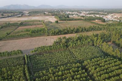 Image of 4900 Sq.ft Residential Plot / Land for sale in Biharigarh, Saharanpur for Rs. 46000000