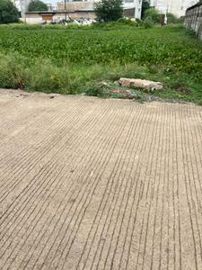 Image of 2400 Sq.ft Residential Plot / Land for sale in Bhatagaon, Raipur for Rs. 10800000