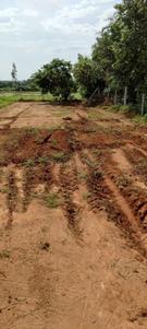 Image of 9000 Sq.ft Residential Plot / Land for sale in Kamsanpalle, Narayanpet for Rs. 7500000