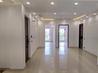 Living Room Image of 771 Sq.ft 2 BHK Apartment / Flat for rent in DLF Princeton Estate, Sector 53 Gurgaon for Rs. 60000