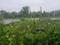 Hinjawadi Phase 2 Main Image 1