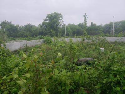 Hinjawadi Phase 2 Plot View 1