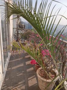 Balcony Image of 900 Sq.ft 2 BHK Apartment / Flat for sale in Skyline Infratech Mohali Park, Nabha Zirakpur for Rs. 8000000