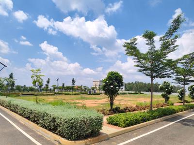 Residential Plot