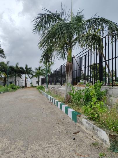 Roja Farm Ville Ibiza Plot View 1