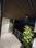 Bedroom Image of Sukhvasa Luxurious PG  in Sector 47, Gurgaon